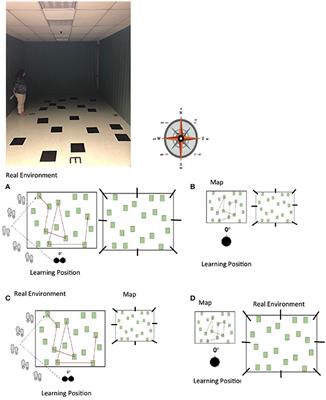 No Gender Differences in Egocentric and Allocentric Environmental Transformation After Compensating for Male Advantage by Manipulating Familiarity